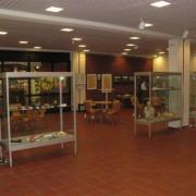 l'exposition
